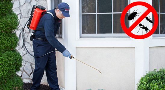 Düzköy Böcek ve Haşere İlaçlama böcek ilaçlama ve haşere kontrolü — ilaclama-tr.com